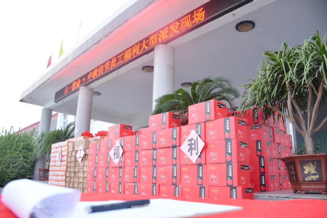 【兰科博弈RankBet庆佳节·天涯共明月】2021中秋赏雅月