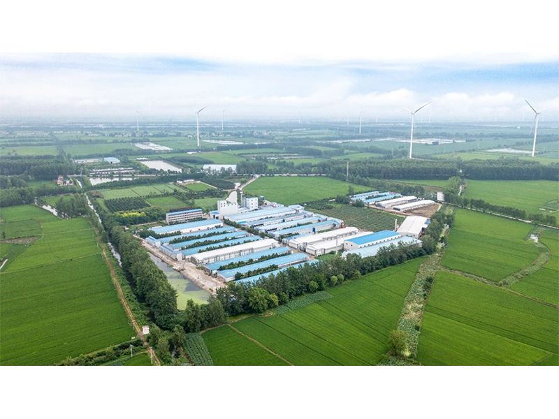 2023年中央一号文件出炉，畜禽产业应抓住哪些新机缘？