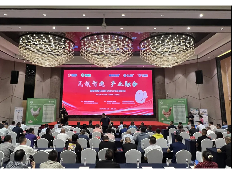 热烈祝贺湖南规；凹ζ笠礐EO顶峰论坛获得圆满成功！