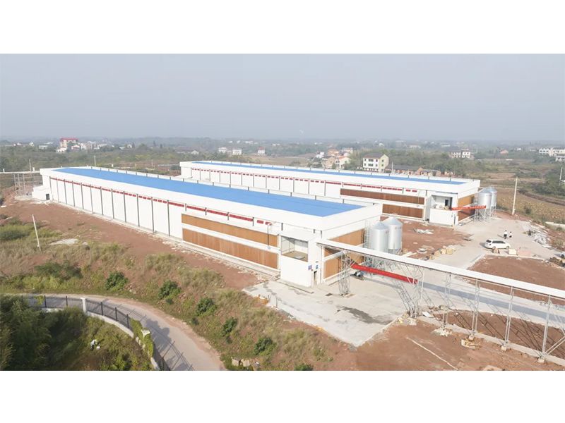 热烈祝贺西南地域300万羽蛋鸡养殖基地验收成功，上鸡大吉！