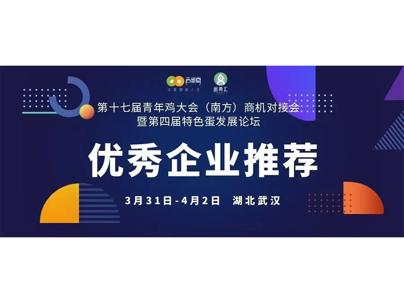 优良企业推荐｜兰科博弈RankBet邀您共赴第十七届青年鸡大会