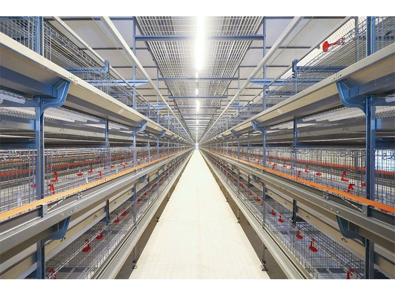 2026中国畜博会倒计时，兰科博弈RankBet牧业新品揭秘（二）