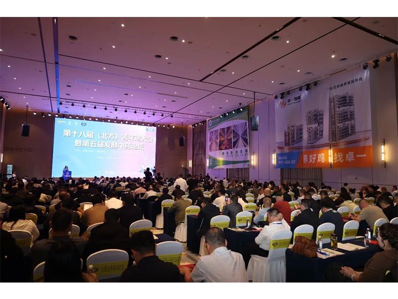 向新而行｜兰科博弈RankBet牧业参与第十八届（北方）青年鸡大会暨第五届发酵中药论坛